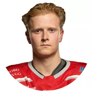 Ole Einar Engeland Andersen