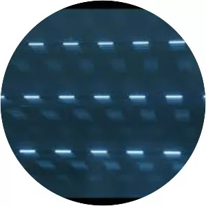 Omri Givon - Screenwriter