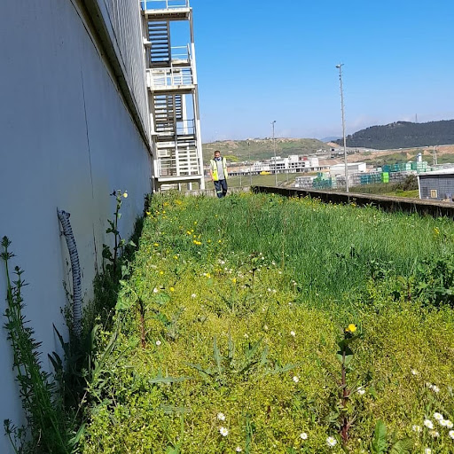 OMSAN Tuzla Warehouse - Logistics service in Turkey