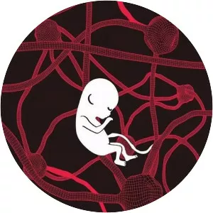 On Children - 2018 ‧ Satire