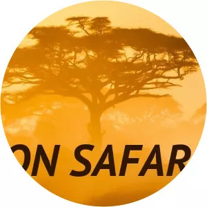 On Safari