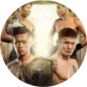 ONE Championship: Roots of Honour - TV program