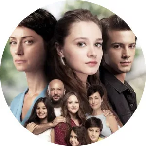 One Litre of Tears2018 – 2019