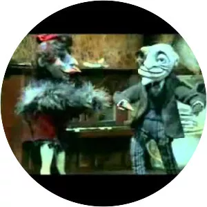 One Night in One City