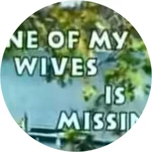 One of My Wives Is Missing