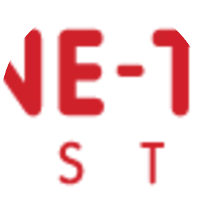 One-to-One Institute