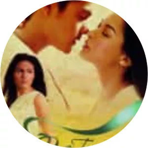 One True Love - 2008 ‧ Drama/Romance ‧ 2h 27m