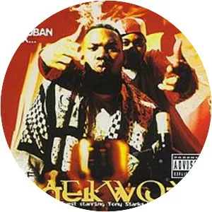 Only Built 4 Cuban Linx - Album by Raekwon