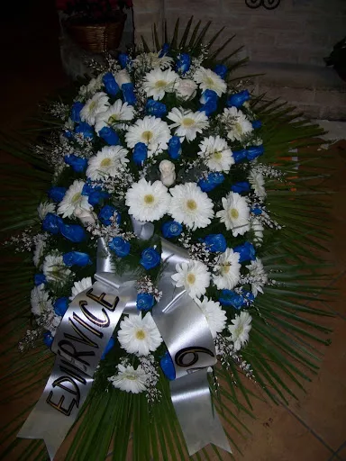 Onoranze Funebri a Pianezza | La Creazione - Funeral home in Italy