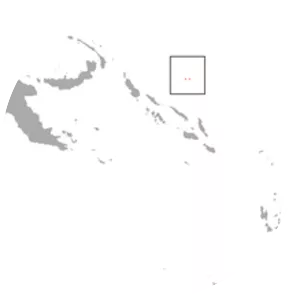 Ontong Java flying fox