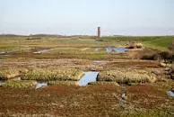 Oosterschelde National Park - 