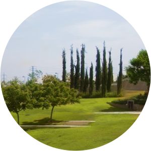 Open University of Israel