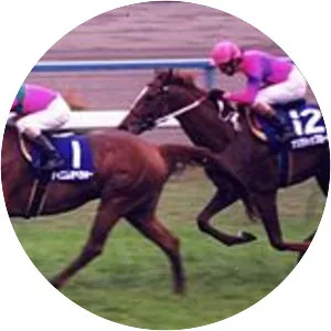 Opera House photograph