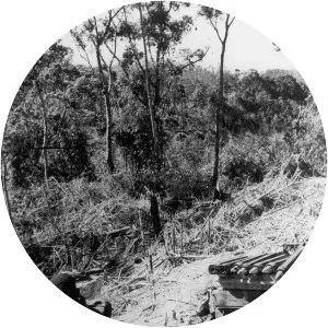 Operation Apache Snow