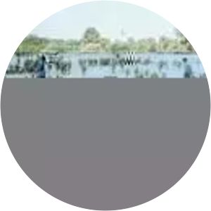 Operation Balavegaya