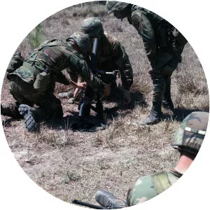 Operation Golden Pheasant