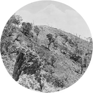 Operation U-Go - Battle