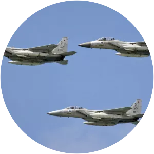 Operation Wooden Leg