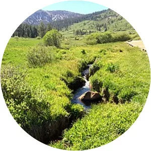 Ophir Creek - Stream in Nevada