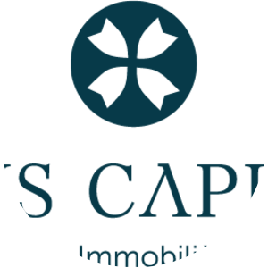 Opus Capital