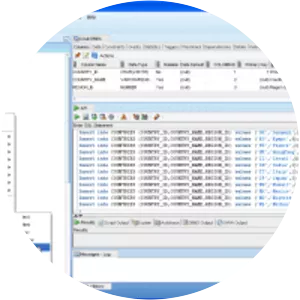 Oracle SQL Developer - 