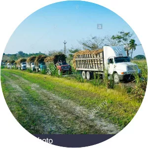 Orange Walk District