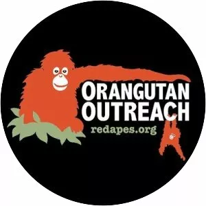 Orangutan Outreach