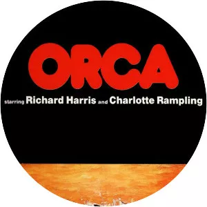 Orca