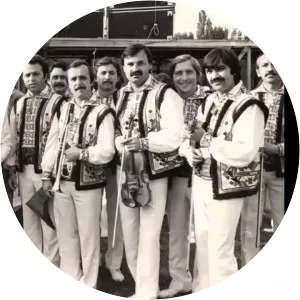 Orchestra Lautarii - Musical artist