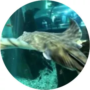 Oregon Coast Aquarium