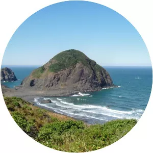 Oregon Coast Trail - Park