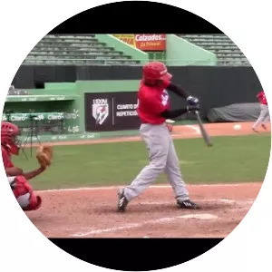 Orelvis Martinez - Baseball player