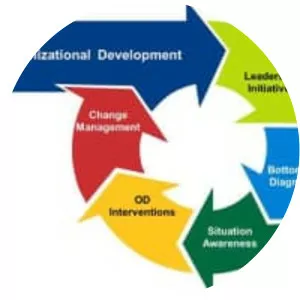 Organization development