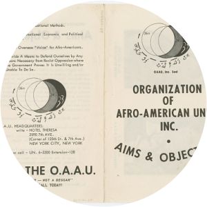 Organization of Afro-American Unity