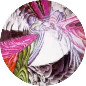 Organization of Graphic Motifs