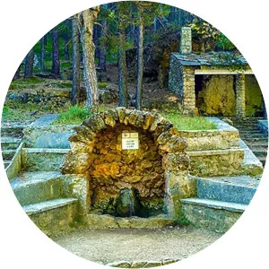 organos de benitandús área recreativa pino escobón