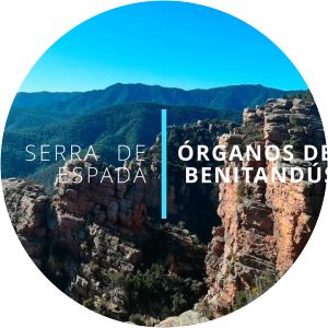 órganos de benitandús barranc dels horts