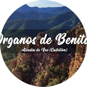 órganos de benitandús penya pastor