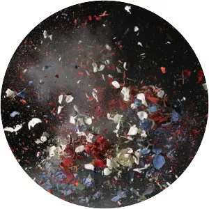 Ori Gersht - Israeli photographer