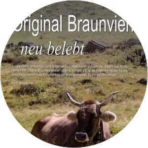 Original Braunvieh