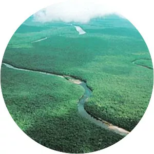 Orinoco - River in South America