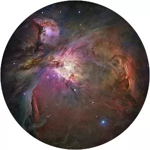 Orion Nebula - 