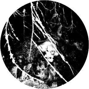 Ormgård - Musical group