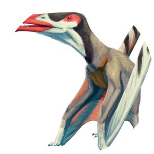 Ornithocheirus - Animal