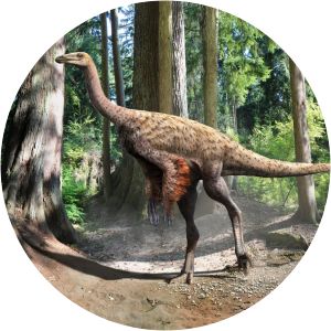 Ornithomimus