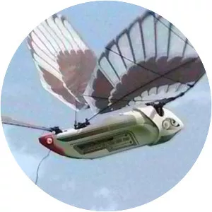 Ornithopter - Flying machine type