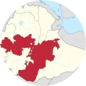 Oromo conflict - Armed conflict