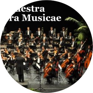 Orquestra Simfònica Camera Musicae - Musical group