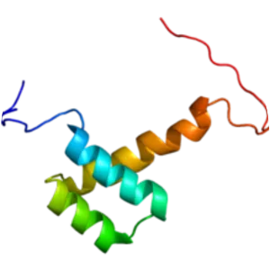 Orthodenticle homeobox 2
