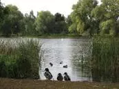 Orton Mere railway station
